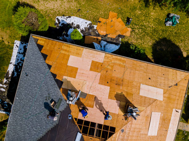 Quick and Trustworthy Emergency Roof Repair Services in Wallace Ridge, LA